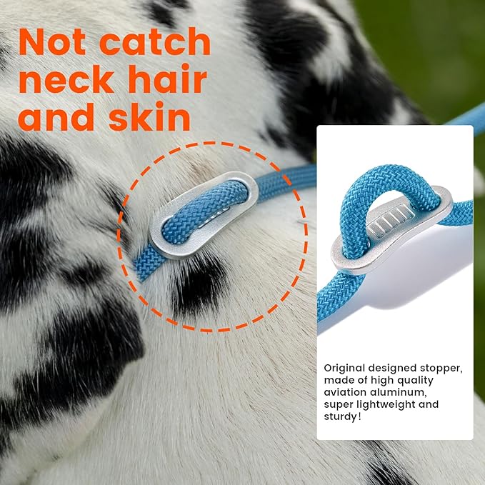 Howgo Double Slip Leash Slip Lead with Two Handles| Dual Dog Slip Lead for 2 Dogs,360° Swivel No Tangle | Dog Training Collar | Double Clip Leash Coupler and Splitter (MintGreen, 6FT)