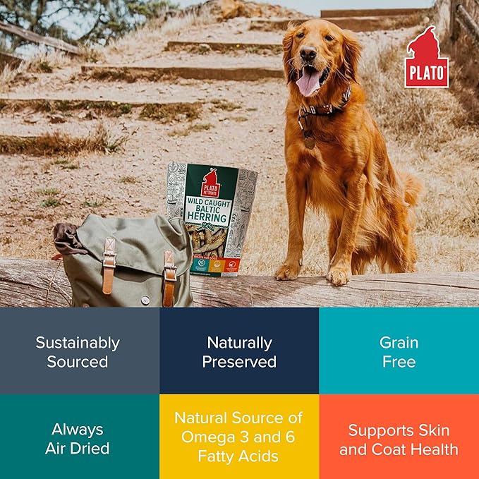 PLATO Pet Treats Fish Dog Treats - Air-Dried, Single Ingredient Dog Treat - with Omega 3 & 6 Fatty Acids to Support Skin and Coat - 100% Whole Fish - Wild Caught Baltic Herring Dog Treats - 3oz