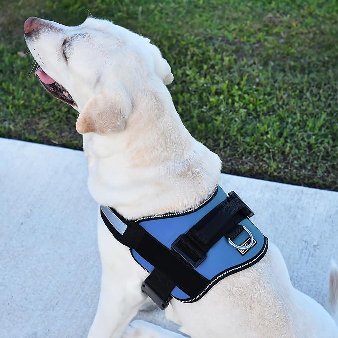 Dogline Dog Harness, Reflective No-Pull Adjustable Vest with Handle for Walking, Training, Breathable, No - Choke Harness for Small, Medium or Large Dogs Room for Patches Girth 15 to 18 in Cyan Blue