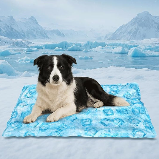 Cooling Pad for Dog,Instant Pet Cool Mat for Puppy,Comfortable Cool Pet Mat for Cat.Portable Dog Bed for Summer. Suitable for Outdoor Summer Crate Pad.Long Time Cooling.Ice Brick(Size-M 15.7*19.7in)