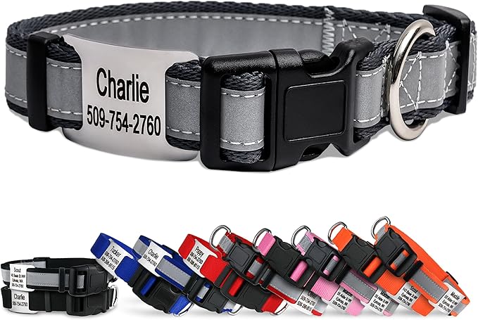 GoTags Reflective Personalized Dog Collar with Nameplate, Adjustable Dog Collar with Custom Engraved Steel Slide On Pet ID Tag, Silent, No Noise Dog Tag for Large Medium or Small (Charcoal, Medium)