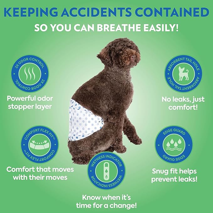 Out! PetCare Disposable Male Dog Wraps, Puppy Pee Wraps, Belly Bands for Dogs, Leak Proof, Wetness Indicator, Puppy and Doggie Diaper for Peeing, XS/Small, 96 Count