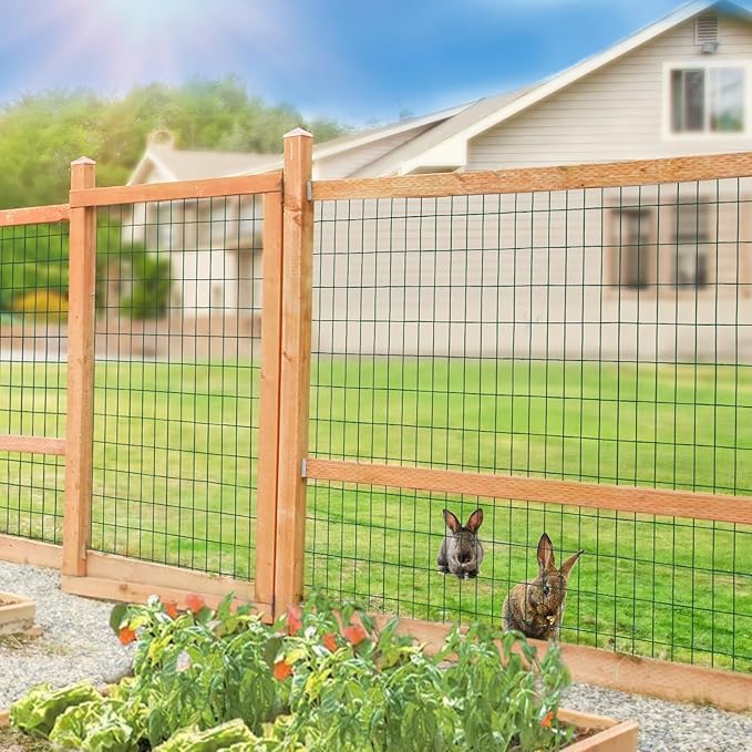 Green PVC Coated Welded Wire Fence 36 Inch x 50 Foot, 2 Inch x 4 Inch 14GA, Garden Border Fencing Roll Vinyl Coating Metal Wire Mesh Hardware Cloth for Yard Vegetable Plant Protection