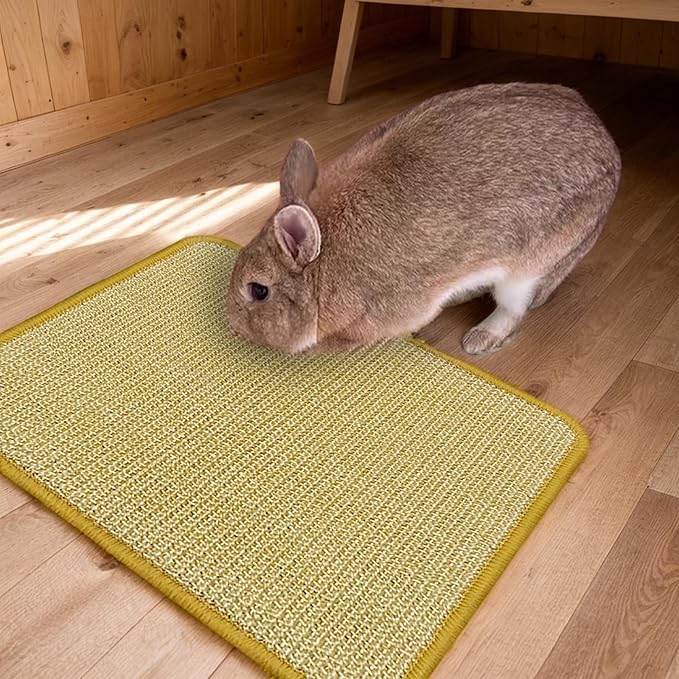 DYAUS Bunny Scratch Pads, Natural Sisal Rabbit Scratching Mats for Claws and Teeth Care, Indoor Bunny Chew Toys Bunny Bed for Biting Sleeping Nesting (3PCS, 16x12in)