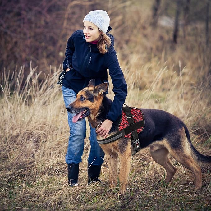 Dogline Dog Harness, Reflective No-Pull Adjustable Vest with Handle for Walking, Training, Breathable, No - Choke Harness for Small, Medium or Large Dogs Room for Patches Zebra Black/Red M 22"-28"