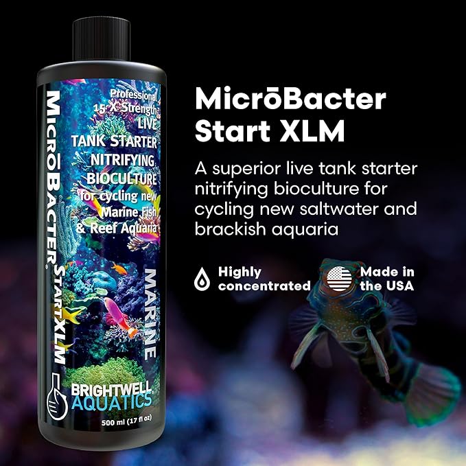 Brightwell Aquatics MicroBacter Start XLM - Concentrated Freshwater Nitrifying Bacteria - Quick Start Fish Tank Starter, Lift Microbe Levels & Water Filtering - Aquarium Water Treatments, 16.9 fl oz