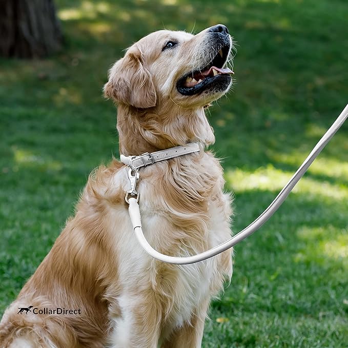 CollarDirect Rolled Leather Dog Collar, Soft Padded Round Puppy Collar, Handmade Genuine Leather Collar Dog Small Large Cat Collars 13 Colors (6-7 Inch, White Textured)