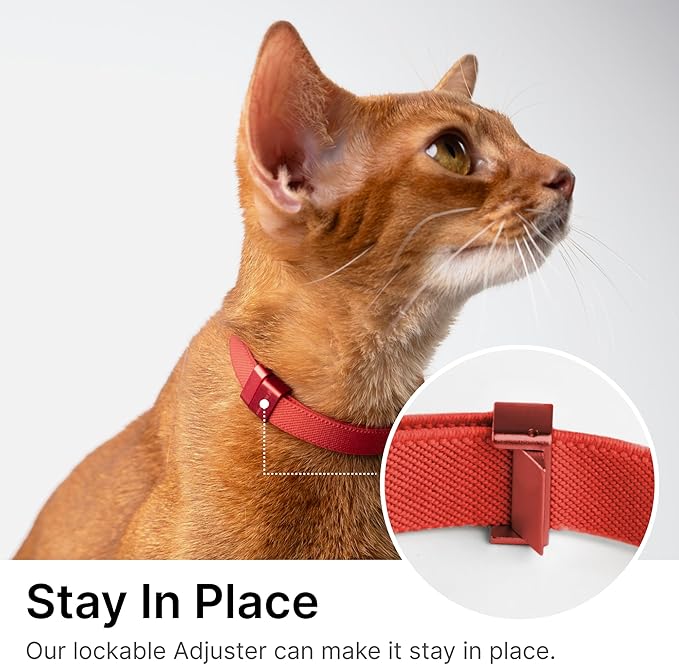 Safety Cat Collar Pro - U.S. IDA Gold Awarding Design, Elastic Quick Release Cat Collar with Buckle Non Breakaway - Lightweight for Kitten All Small Large Cats (Vivid Red, S 5.9-11.8")