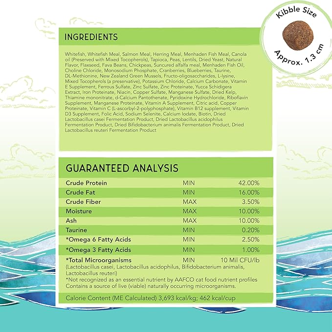 Blackwood Bounty Dry Cat Food, Whitefish & Lentil Recipe for All Life Stages, 2 Pound Bag, High Protein, Grain Free (Pack of 4)