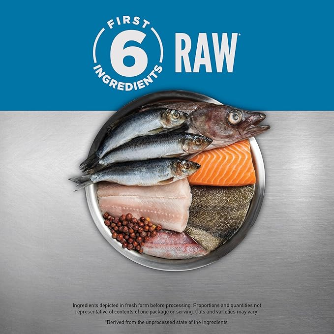 ORIJEN Grain Free High Protein Premium Dry Cat Food Six Fish Recipe 4lb Bag