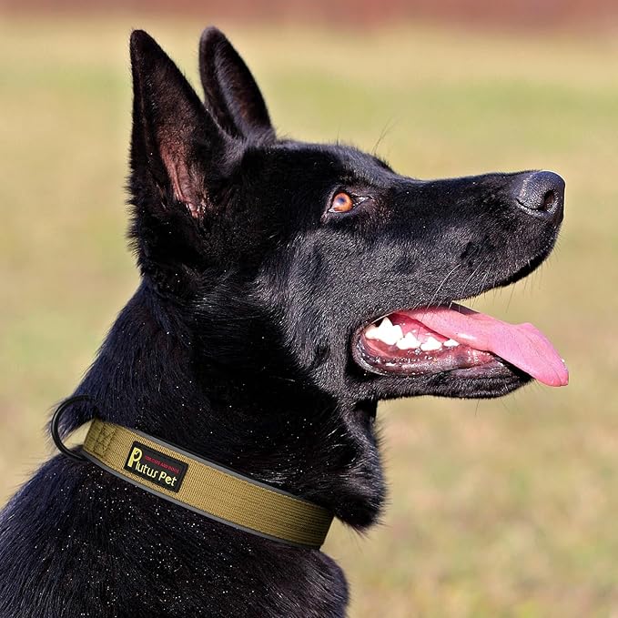 Plutus Pet Tactical Dog Collar, Reflective, Adjustable Heavy Duty Dog Collar, Soft Padded and Comfortable, for Small Medium and Large Dogs (Brown, M)