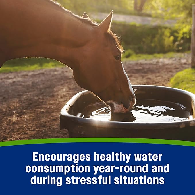 Farnam Apple Elite Electrolyte Supplement for Horses, Replaces Vital Minerals, Encourages Hydration, No Added Sugar, 7.5 lb, 40 Day Supply