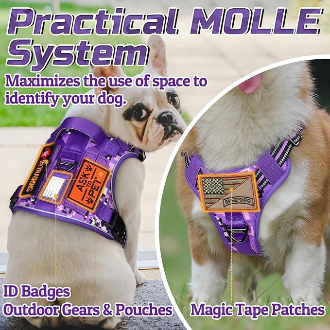 rabbitgoo Tactical Dog Harness for Small Dogs, No Pull Military Service Vest with Handle & Molle, Easy Control for Training Walking, Adjustable Reflective Straps, Purple Camo, S