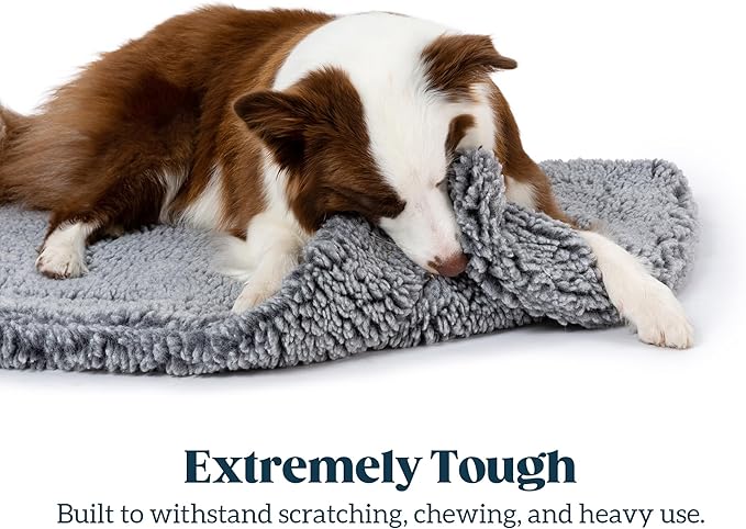 Stoutwool Indestructible Dog Bed - Fluffy Chew Proof Dog Crate Pad - Tough Kennel Pad for Aggressive Chewers - Ideal for Extra Small Breeds & Fits 22-Inch Crate - 21"x12", Charcoal