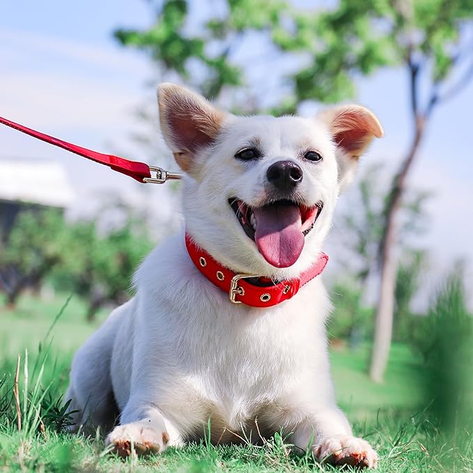 Didog Soft Padded Dog Collars for Medium Dogs, Lightweight and Breathable Dog Collar with Metal Buckle, Red, L