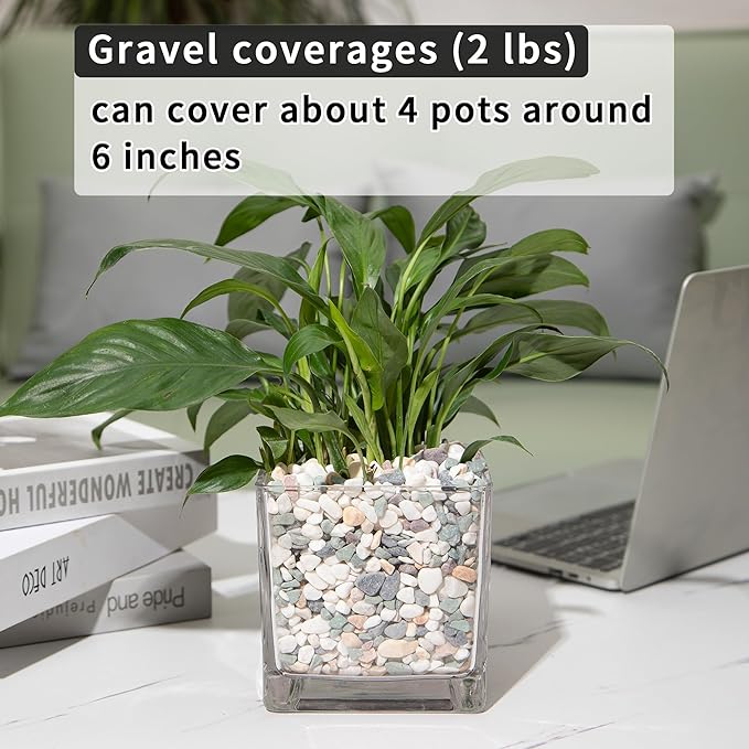 2lb Succulent and Cactus Gravel Pebbles 1/5-3/8 Inch Natural Decorative Polished Stones River Rocks for Plants, Vases, Aquariums, Terrarium and Outdoor Gardening, Mixed Color