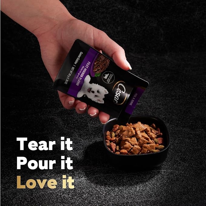 Cesar Filets in Gravy Wet Dog Food Filet Mignon Flavor and Rotisserie Chicken Flavor Variety Pack, 1.76 oz. Mini-Pouches (20 Count, Pack of 2)