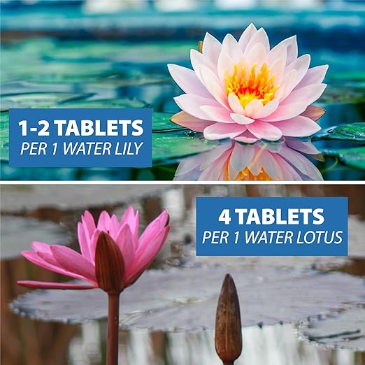 CrystalClear Thrive Aquatic Pond Plant Food, Fish Safe Water Garden Fertilizer, Nutrients Boost Lily & Lotus Flower Bloom & Root Growth, 60 Tablets