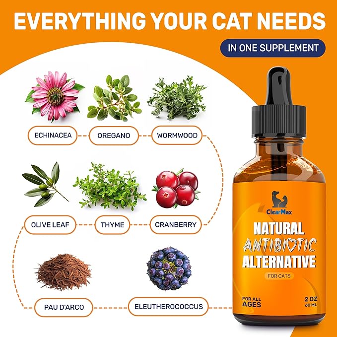 Cat Antibiotic to Help with Cough & Allergies – Antibiotics for Cats to Aid with UTIs and Digestive Moments – HIPS & Joints Support – Attractive Chicken Taste – 2 Oz Bottle