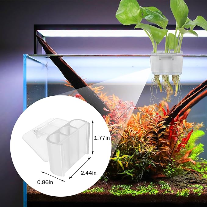 3 Holes Upgraded Aquatic Plant Cup Aquarium Plant Holder for Tank,Hanging Aquarium Plant Holder,Aquarium Aquatic Plant Cultivation,Aquarium Plant Decoration. (White 4PCS)