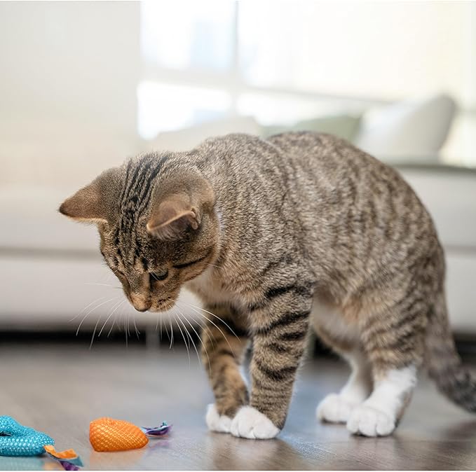 Petstages Dental Health Chews Pair