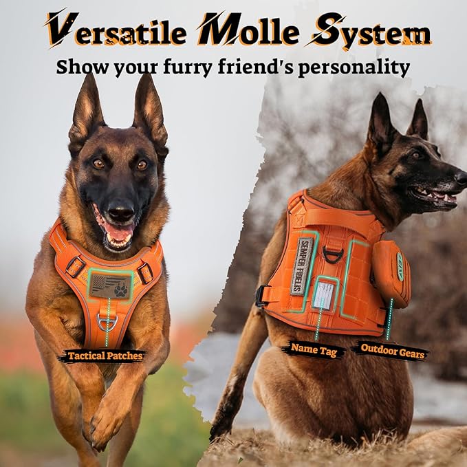 rabbitgoo Dog Harness for Large Dogs No Pull, Tactical Service Pet Vest with Molle and Control Handle, Adjustable and Reflective Military Harness for Easy Walking and Training, Orange, L