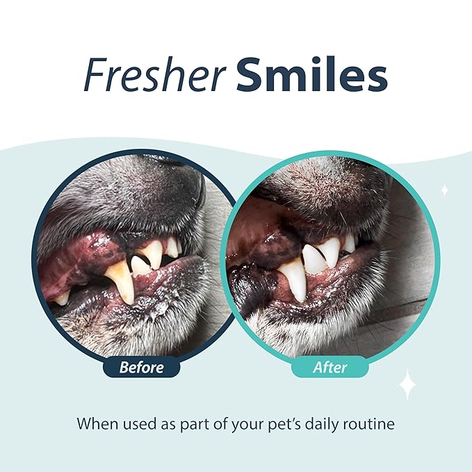 Dental Fresh Oral Spray for Dogs and Cats, Eliminates Bad Breath and Protects Their Teeth & Gums, 4 Fl Oz.