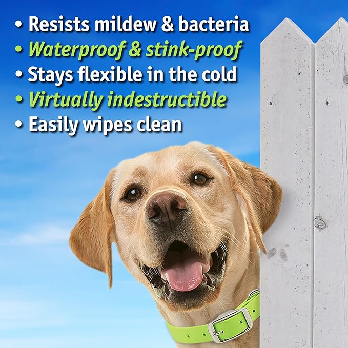 Biothane Custom Dog Collar – Waterproof, Stink-Proof Personalized Collar with Name & Phone Number – Durable, Many Sizes and Colors – Assembled in USA (Cherry Red)