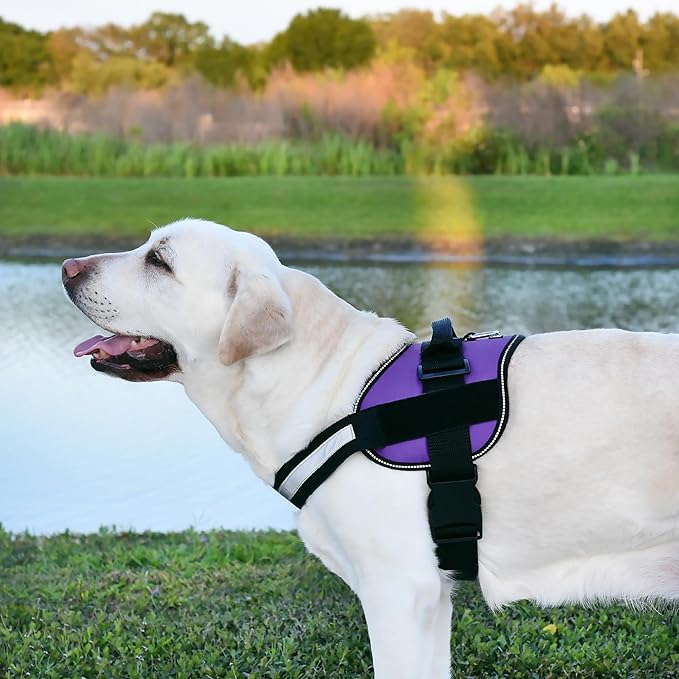 Dogline Dog Harness, Reflective No-Pull Adjustable Vest with Handle for Walking, Training, Breathable, No - Choke Harness for Small, Medium or Large Dogs Room for Patches Girth 33"-46" in Purple