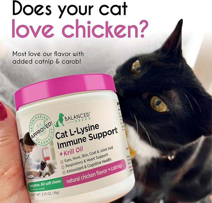 Balanced Breed L-Lysine Cats Immune Support Soft Chews Made in USA Vet-Pharmacist Approved Seasonal Allergy Relief Cat Vitamins Indoor Cats Supplements Krill Oil Asthma Relief Cat Lysine Treats NonGMO