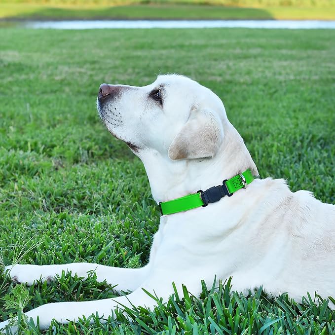 Dogline Biothane Waterproof Dog Collar with Herm Sprenger Stainless Steel Quick Release Buckle – Heavy Duty Tactical Durable Collar for Dogs – Comfortable and Safe Pet Collar, W 1" L 15-25", Green