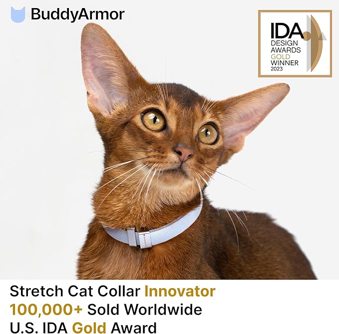 Safety Cat Collar Pro - U.S. IDA Gold Awarding Design, Elastic Quick Release Cat Collar with Buckle Non Breakaway - Lightweight for Kitten All Small Large Cats (Lime Green, S 5.9-11.8")