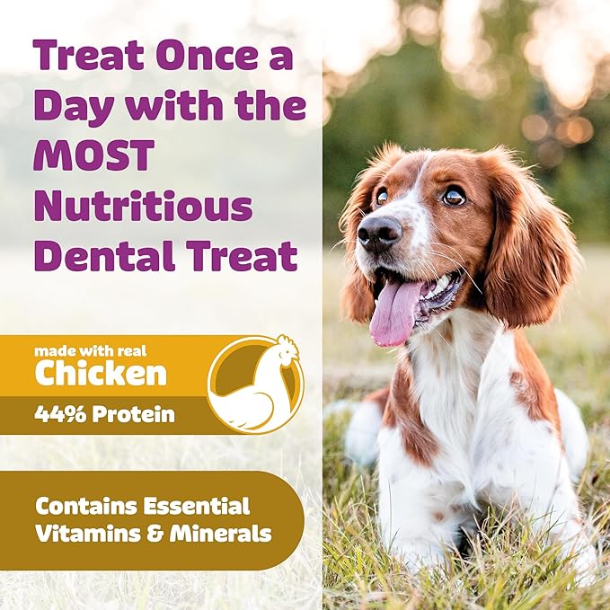 Dog Dental Treats – Vet VOHC Approved – Delicious Chicken Protein – Removes Tartar with Cleaning Comb Shape – Dental Dog Treats for Small Dogs (24oz, 42 Count)