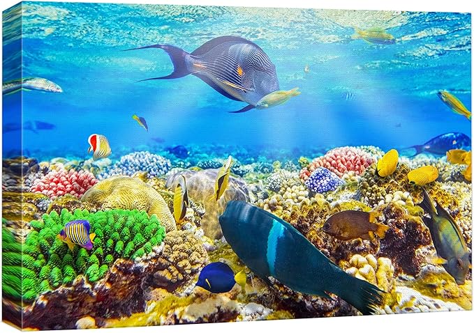 wall26 Canvas Print Wall Art Sunlight Ocean Sea Coral Reef Anemone Fish Nature Animals Photography Realism Rustic Scenic Landscape Wilderness Earth for Living Room, Bedroom, Office - 12"x18"