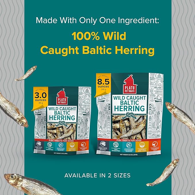 PLATO Pet Treats Fish Dog Treats - Air-Dried, Single Ingredient Dog Treat - with Omega 3 & 6 Fatty Acids to Support Skin and Coat - 100% Whole Fish - Wild Caught Baltic Herring Dog Treats - 3oz