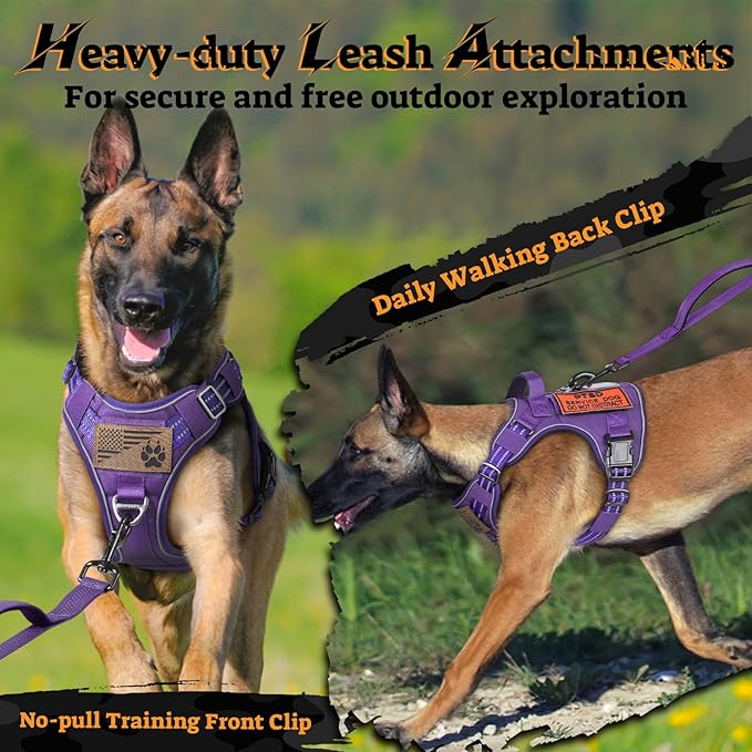 rabbitgoo Dog Harness Small Sized No Pull, Tactical Service Pet Vest with Molle and Control Handle, Adjustable and Reflective Military Harness for Easy Walking and Training, Purple, S