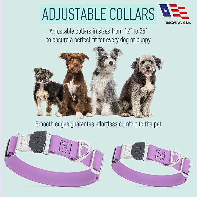 Dogline Biothane Waterproof Dog Collar with Herm Sprenger Black Stainless Steel Quick Release Buckle – Heavy Duty Tactical Durable Collar for Dogs – Comfortable, Safe Pet Collar W 1" L 15-25" Amethyst