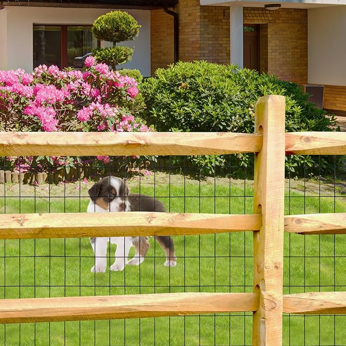 Black PVC Coated Welded Wire Fence 36 Inch x 50 Foot, 2 Inch x 4 Inch 15GA, Garden Border Fencing Roll Vinyl Coating Metal Wire Mesh Hardware Cloth for Yard Vegetable Plant Protection