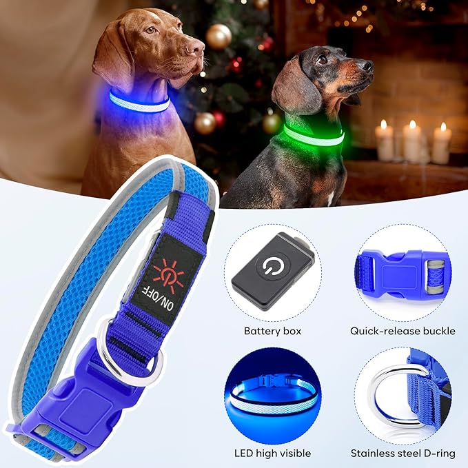 Flashseen LED Dog Collar, Light Up Dog Collar USB Rechargeable, Brightest Dog Lights for Night Walking, Adjustable Dog Collar Light for Dog Safety (Large, Royal Blue)