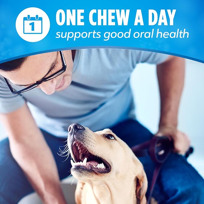 DentaLife Daily Oral Care Dog Treats for Large Dogs 40 plus lbs., Chewy Dental Treat to Freshen Breath and Fight Tartar, Chicken Flavor, 36 oz., 30 Chews - 30 ct. Pouch