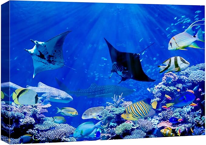 wall26 Canvas Print Wall Art Vibrant Sunlight Ray Ocean Shark Fish Reef Nature Animals Photography Realism Rustic Scenic Landscape Wilderness Earth for Living Room, Bedroom, Office - 12"x18"