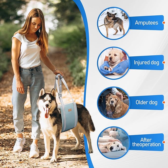 Dog Lift Harness for Large Dogs, Adjustable Dog Sling for Back Legs, Hip Support Harness to Help Lift Dogs Rear for Canine Aid and Old K9 Cruciate Ligament Rehabilitation - Large, Grey