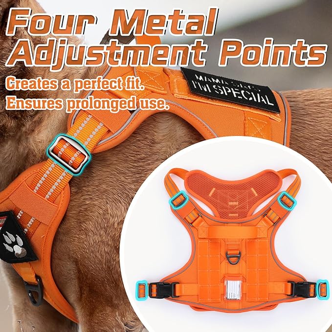 rabbitgoo Tactical Dog Harness Medium Sized Dog, No Pull Military Service Vest with Handle & Molle, Easy Control for Training Walking, Adjustable Reflective Straps, Orange, M
