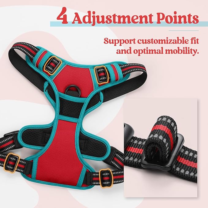 rabbitgoo Dog Harness No Pull with 2 Leash Clips, Adjustable Soft Padded, Reflective Oxford No Choke Pet Vest with Easy Control Handle for Small Dogs, Red & Teal, S