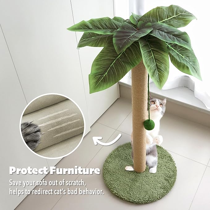 PETKARAY Cat Scratching Post, 36" Tall Palm Tree Cat Scratching Post, Sisal Cat Scratcher with Toy Ball for Indoor Kittens, Large Size