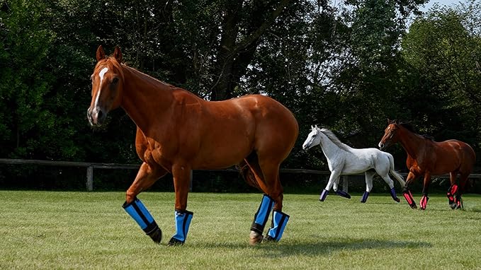 Warrior Fly Boots for Donkeys, Ponys, or Yearlings - Breathable Mesh Horse Boots for Fly Protection & Leg Comfort - Set of 4 (Mighty Warrior, Gray)
