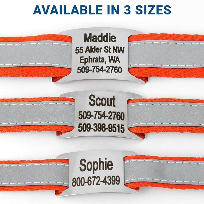 GoTags Reflective Personalized Dog Collar with Nameplate, Adjustable Dog Collar with Custom Engraved Steel Slide On Pet ID Tag, Silent, No Noise Dog Tag for Large Medium or Small (Orange, Small)