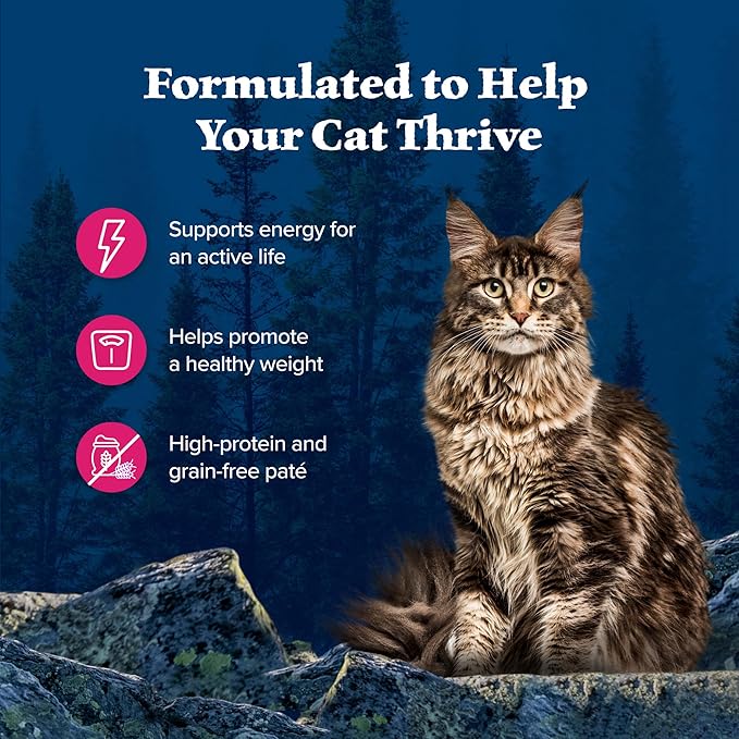 Blue Buffalo Wilderness Natural High-Protein Grain-Free Wet Food for Adult Cats, Salmon Paté, 3-oz. Cans, 24 Count