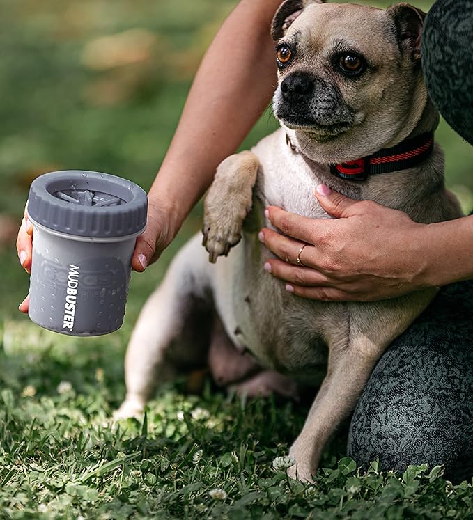 Dexas MudBuster Portable Dog Paw Cleaner, Premium Quality Small Light Gray Pet Accessory
