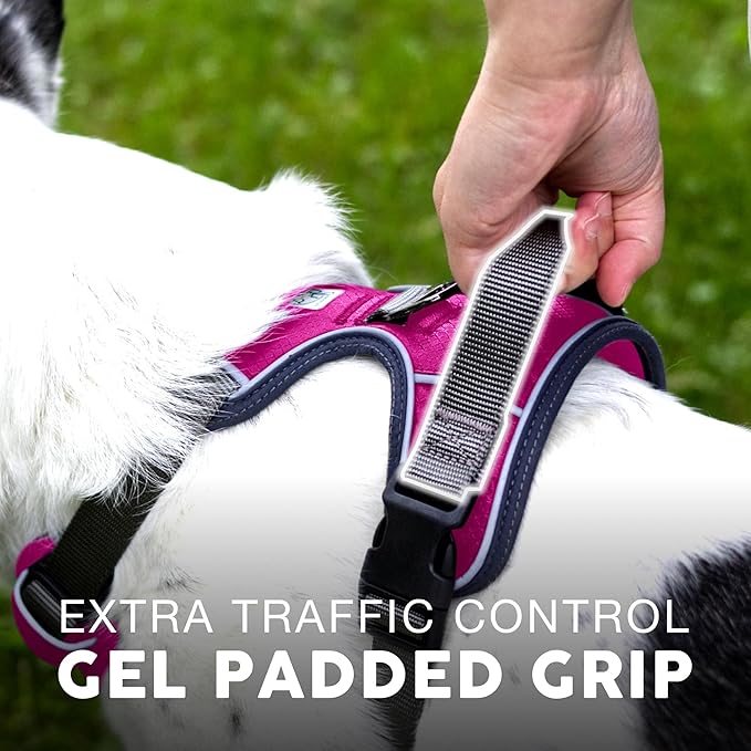 Embark Adventure Dog Harness, Reflective Trim No Pull Dog Harnesses for Small Sized Dogs - Military Grade Nylon, Front Clip with Gel Lined Handle.